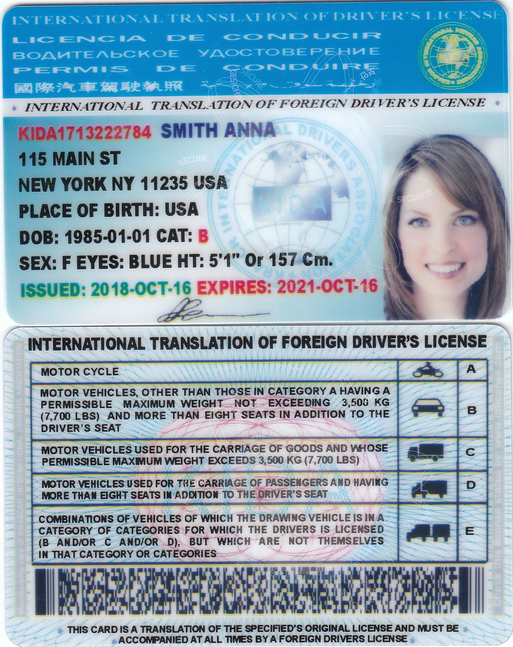 aaa travel international driver's license